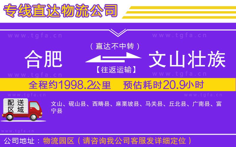 合肥到文山壯族苗族自治州物流專線