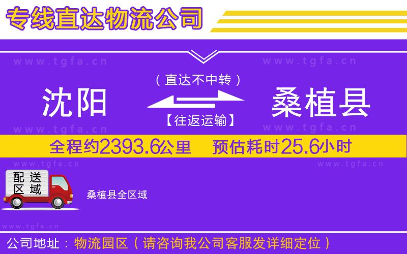 沈陽到桑植縣物流公司