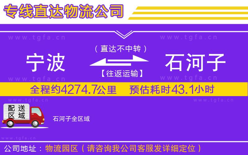 寧波到石河子物流公司