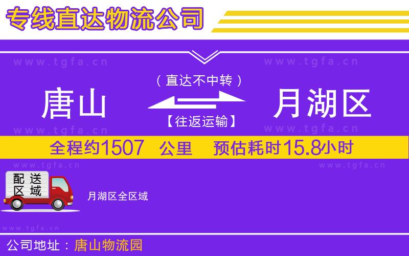 唐山到月湖區(qū)物流公司