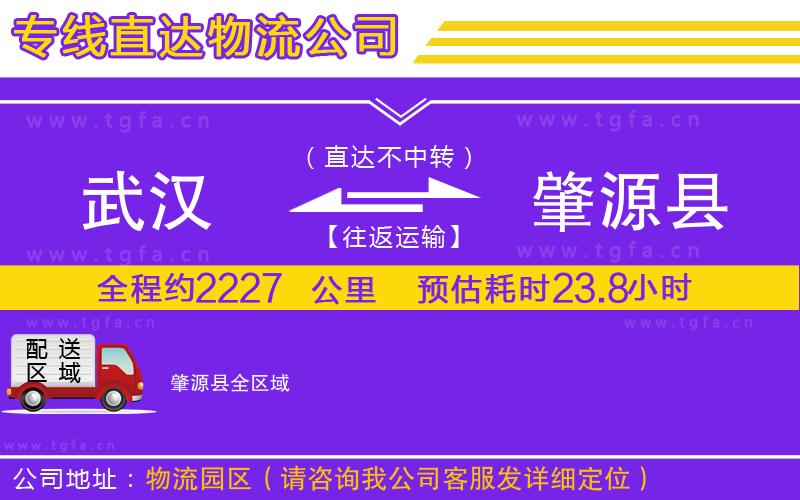 武漢到肇源縣物流公司