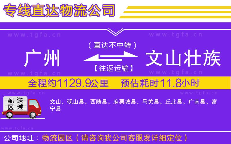 廣州到文山壯族苗族自治州物流專線