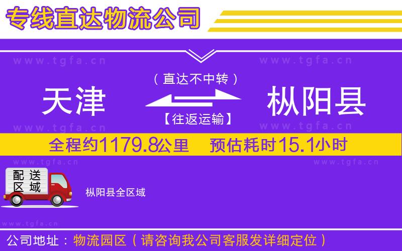 天津到樅陽縣物流公司