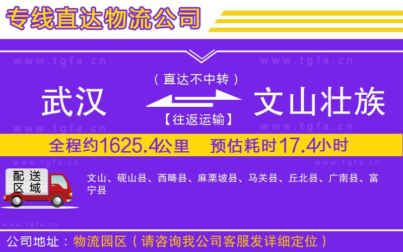 武漢到文山壯族苗族自治州物流專(zhuān)線(xiàn)