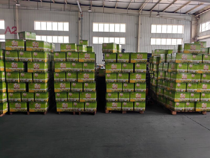 合肥到克拉瑪依獨山子區(qū)貨運公司